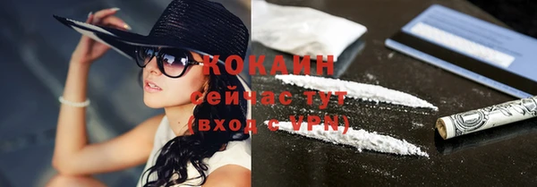 a pvp Алзамай