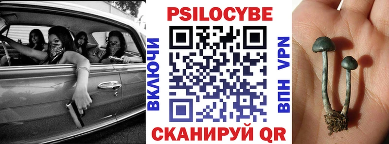 Галлюциногенные грибы мицелий  цены наркотик  гидра ССЫЛКА  Приморск 