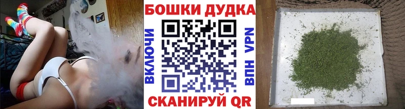 Бошки Шишки семена  Приморск 